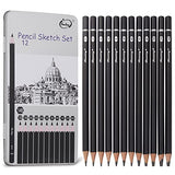 Qionew Professional Drawing Sketching Pencil Set - 12 Pack Art Drawing Sketch Pencils, Graphite Pencils(14B - 4H), Ideal for Drawing, Art Pencils for Drawing and Shading, Back to School Supplies