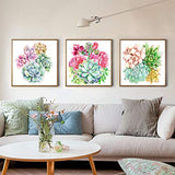 HaiMay 3 Pack DIY 5D Diamond Painting Kits Full Drill Painting Succulents Diamond Pictures Arts Craft for Wall Decoration, Plant Diamond Painting Style (Canvas 12×12 inches)