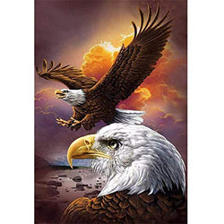 DIY 5D Diamond Painting by Number Kit, Full Drill Dusk Eagles Animal Embroidery Cross Stitch Rhinestone Pictures Arts Craft Home Wall Decor 11.8x15.8 inch