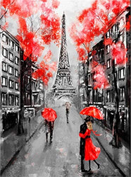 AMAILY Diamond Painting Kits for Adults - 5D Diamond Art Kits Full Drill Adult's Painting by Number Kits for Students and Beginner for Wall Decor Living Room,Bedroom,Coffee Shop(Eiffel Tower)