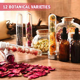 COYMOS Dried Herbs 100% Natural Dried Flowers for Candle Making, Resin Jewelry, Bath Bombs - Contains Hibiscus Flowers, Mint Leaves, Lavender Buds, Lemon Slices etc. (12 Botanical Varieties Total)