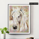 SKRYUIE DIY 5D Diamond Painting Kits Animal by Numbers, Diamond Art White Horse Crystal Embroidery Cross Stitch Art Craft Wall Sticker Decoration Wall Decoration 30x40cm