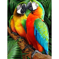 Huacan Parrot Diamond Painting Kits, Full Drill Square Diamond Painting Kits for Adults, Diamond Art Home Wall Decor 11.8x15.7in/30x40cm