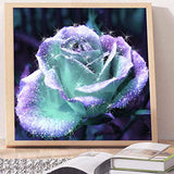 Flower Diamond Painting Kits for Adults, 5D Crystal Diamonds Art with Accessories Tools, White Rose DIY Art Dotz Craft for Home Décor, Ideal Gift or Self Painting