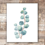 Botanical Prints Wall Art - Eucalyptus Leaves - (Set of 6) - Unframed - 8x10s