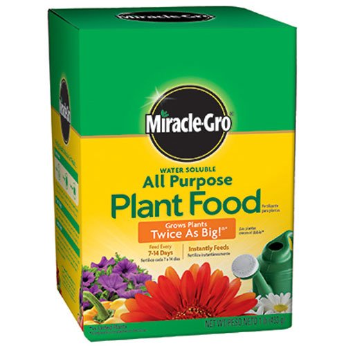 Miracle-Gro Pound 160101 Water-Soluble All Purpose Plant Food, 24-8-16, 1-Po