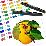 120 Colors Alcohol Art Marker Set,Salarlo Dual Tip Brush Drawing Markers with Stand&Gift Box for Artist Adults/Kids Coloring Illustration Painting Manga Sketching Design