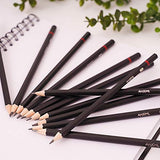 Professional Drawing Sketch Pencils Set, 12 Pieces Drawing Pencils, 8B,7B, 6B, 5B, 4B, 3B, 2B, B, HB, F, H, 2H Graphite Pencils, Ideal for Drawing Art, Sketching