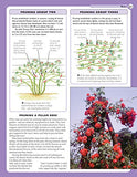 Home Gardener's Pruning Specialist Guide: Caring for Shrubs, Trees, Climbers, Hedges, Conifers, Roses and Fruit Trees (Creative Homeowner) A-Z of Plants & How to Prune Them, Creating Arches, and More