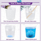 Crystal Growing Science Kit - Fun and Educational STEM Chemistry Experiments Grow Fast in 3-4 Days, Projects for Kids 8+