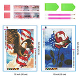 Ginfonr 5D DIY Diamond Painting Kit 2 Pack Flag Eagle & Rose Full Drill by Number Kits, Paint with Diamonds Art Craft Embroidery Rhinestone Cross Stitch Craft for Home (12x16 inch)