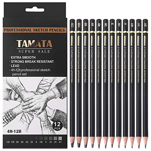 Professional Drawing Sketching Pencil Set - MARKART 14 Pieces Drawing  Pencils 12B, 10B, 8B, 6B, 4B, 3B, 2B, B, HB, F, H, 2H