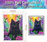DIAMONDOUBLE Diamond Painting Kits for Adults, DIY Full Round Drill Diamond Art Black Cat Diamond Painting Cat by Numbers Kits Crafts for Family Relaxation & Home Wall Decor