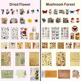 Vintage Scrapbooking Stickers DIY Journaling Scrapbook Stickers Washi Adhesive Sticker Decorative Antique Retro Natural Collection Washi Paper Sticker for Journal (Vivid Style,120 Pieces)
