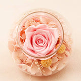 SANRAN Handmade Preserved Real Rose Present Gorgeous Led Mood Light, Upscale Gift Exquisite Eternal