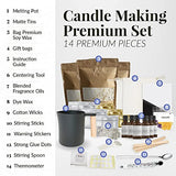 WILCOX SPRINGS Luxury Candle Making Kit - All-Inclusive DIY Home Candle Craft Set, Gift Bags, 100% Natural Premium Scented Soy Wax Candles, Blended Fragrance Oils - Aromatherapy, Spa, Home Relaxation