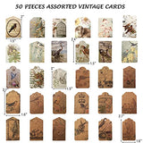 Limmoz Vintage Scrapbook Stickers Pack, Antique Decorative Washi Stickers, Retro Natural Collection, Aesthetic Botany Floral Bird Stickers for Junk Journal Notebooks Diary Letter Gift Tags Envelope