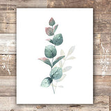 Botanical Prints Wall Art - Eucalyptus Leaves - (Set of 6) - Unframed - 8x10s