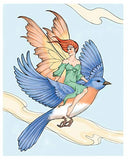 Creative Haven Enchanted Fairies Coloring Book (Creative Haven Coloring Books)