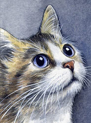 RICUVED 5D Diamond Painting Kits for Adults, Cat Diamond Painting Full Drill Diamond Art Kitten Animal Diamond Painting for Kids Art Craft for Home Wall Decor 11.8x15.7 Inch