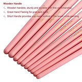 JOINREY Paint Brushes Set,20 Pcs Round Pointed Tip Paintbrushes Nylon Hair Artist Acrylic Paint Brushes for Acrylic Oil Watercolor, Face Nail Art, Miniature Detailing and Rock Painting (Pink)