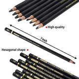 TAMATA Professional Drawing Sketching Pencil Set - 12 Pieces Art Drawing Graphite Pencils(12B - 4H), Ideal for Drawing Art, Sketching, Shading, for Beginners & Pro Artists