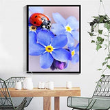 Tangbr Diamond Painting Kits for Adults 5D DIY Full Drill Crystal Rhinestone Embroidery Arts Craft Wall Decor Ladybug and Orchid 11.8x15.7in 1 Pack by Juntop