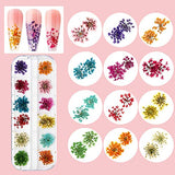 Makartt Nail Decorations Kit, Ocean Couture Nail Glitters Nail Rhinestones 3D Butterfly Dried Flowers with Nail Tweezers for Summer Nails Design Gel Art Complete Nail Accessories Supplies Kit