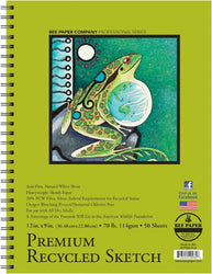 Bee Paper Recycled Sketch Pad, 9-Inch by 12-Inch (837S50-912)