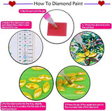 ZSNUOK 4Pcs DIY Diamond Painting by Number Kit for Adults or Kids, Full Special Shaped Drill Embroidery Arts Craft Mosaic Making Supplies Paint with Diamonds for Home Wall Decor
