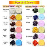 PMCDS2G Soy Wax Candle Making Kit with 12 Color Dyes