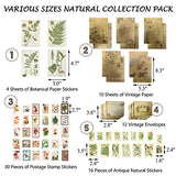 Stosts Vintage Scrapbooking DIY Stickers Pack, Decorative Antique Retro Natural Collection, Diary Journal Embellishment Supplies, Washi Paper Sticker for Art Craft Notebook Album Invitations Gift Pack