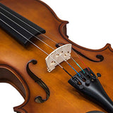 SKY(Paititi) 1/4 Size SKYVN102 Student Violin with High Quality Lightweight Case, Brazilwood Bow, Shoulder Rest, String, Rosin and Mute