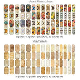 271 Pcs Washi Stickers Vintage Scrapbooking Supplies Kit - Scrapbook Stickers Journaling DIY Bullet Junk Journal Supplies Kits Natural Collection Stickers for Diary Collage Cottagecore Frames Decor