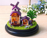 Flever Dollhouse Miniature DIY House Kit Creative Room with Furniture and Glass Cover for Romantic Artwork Gift( Perfect Provence )