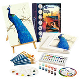 Painting Set for Beginners Plus Paint by Numbers (Peacock) | 12 Acrylic Paint Colors, Nylon Paintbrush Set, 2 Pre Stretched Canvases, 15 inch Table Top Easel, Color Wheel & Palette