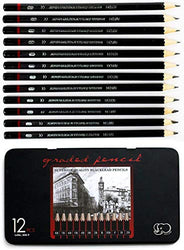 Professional Drawing Sketch Pencils Set-12 Pieces Art Drawing Graphite Pencils(8B - 2H) Ideal for Drawing Art Sketching Shading for Students Beginners & Pro Artists
