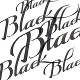 Winsor & Newton Calligraphy Ink Bottle, 30ml, Black