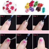 Dried Flowers for Nail Art CHANGAR Mini Real Natural Dry Flowers Sticker Decals Small Tiny Dried Flowers Five Petal Flower Resin Nail Art Supplies Decoration