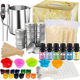 Complete Candle Making Kit, Candle Making Supplies, Including Candle Making Pouring Pot, Beeswax, Candle Wicks, Wicks Sticker, Candle tins, Rich Scents, Dyes, Candle Molds, Wicks Holder and Spoon