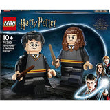 Lego Wizarding World Iconic Brick-Built Harry & Hermione 76393 Building Set