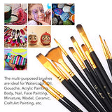 AROIC Professional Artist Paint Brush Set,6 Packs/72 Pieces,Nylon Brush Head,Acrylic Paint Brushes for All Purpose Oil Watercolor Painting Artist Professional Kits.