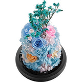 DeFaith Real Rose in Glass Dome, 9'' Beloved Series Preserved Fresh Rose Flowers for Anniversary