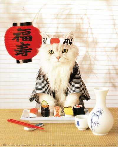 Sushi Cat Wall Decor Japanese Cute Funny Kitten Art Print Poster (16x20)