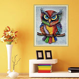 SUNKOO DIY Owl Diamond Painting Kit for Adults Full Drill Painting with Diamonds Owl Rhinestone Diamond Art Kit for Home Wall Decor,Rainbow Big-Eyes Owl 12×16 inches