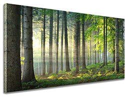 Art wall Living room wall decoration Office bedroom Wall art Forest landscape Tree wall art Nature poster Magic forest Sunny morning 24x48 inch Canvas Printing large home Wall Decoration