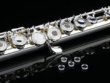 Glory HAND-ENGRAVED SILVER PLATED HIGH GRADE FLUTE 17 Hole OPEN/CLOSED C Flute With Case, Tuning Rod and Cloth,Joint Grease and Gloves,HIGH GRADE HAND ENGRAVED