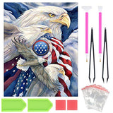 DIY 5D Diamond Painting Kit for Adult Kids, Full Drill Eagle American Flag USA Pride Embroidery Painting Dotz for Home Wall Decor Painting Arts Craft 12x16 Inch
