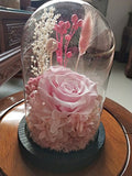 Amoleya 4.9 Inch Handmade Preserved Rose Enchanted Rose that Lasts in Glass Dome,Pink