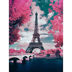 Artoree DIY 5D Diamond Painting by Number Kit for Adult, Full Drill Diamond Embroidery Kit Home Wall Decor-14x20" Pink Paris